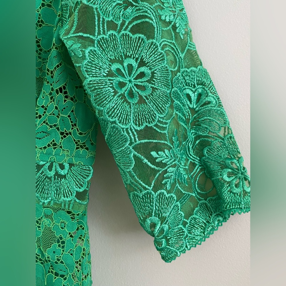 Plenty by Tracey Reese for Anthropologie Angelica Lace Midi dress - Picture 10 of 12